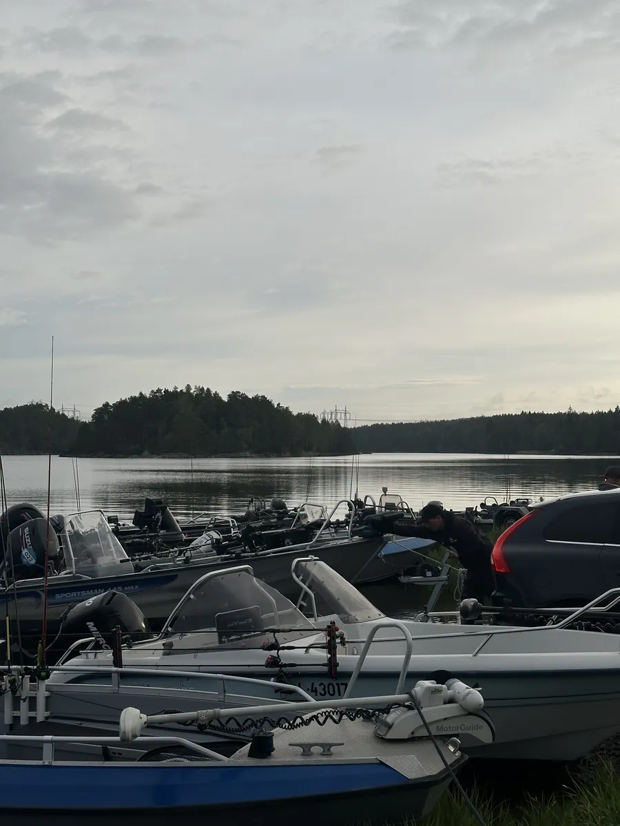IMG 3576