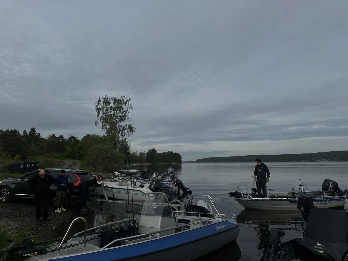 IMG 3583